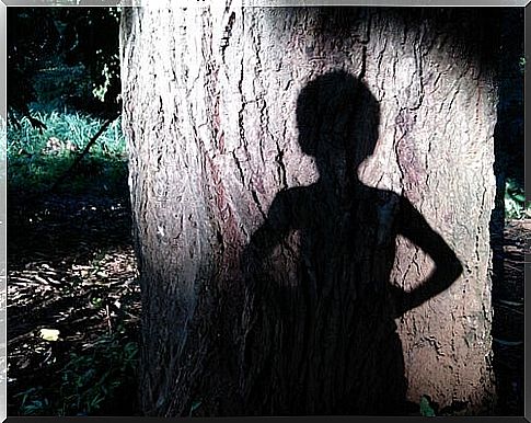 shadow of a child on a tree