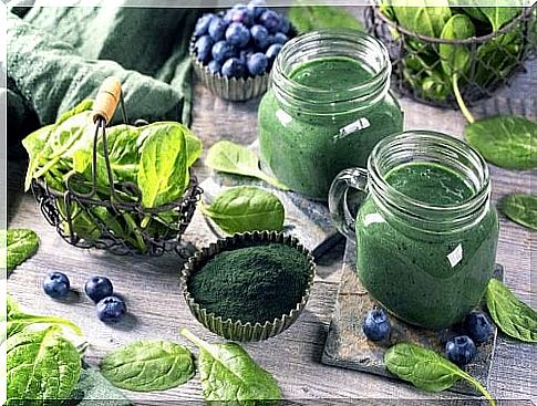 5 benefits of spirulina for your brain