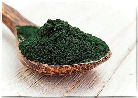 spirulina spoon