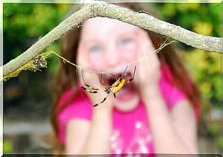 A child who is afraid of spiders.