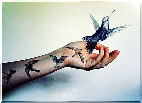 hand-with-hummingbird