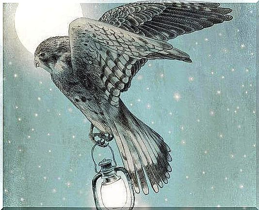 Falcon-and-lamp