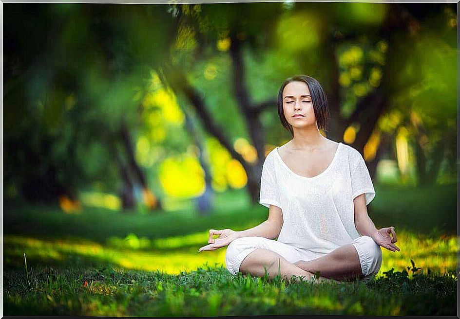 Meditation, when our brain finds peace