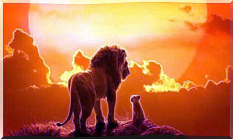 The Lion King awakens the nostalgia of our childhood