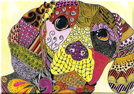 zentangle-of-dog-in-color